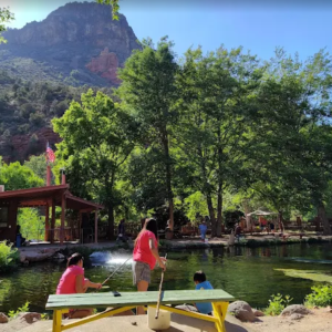 Sedona Day Trip with 3 CEUs